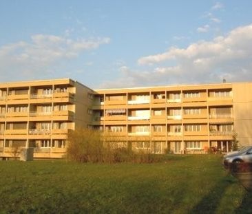 Wir suchen genau Sie - Foto 1