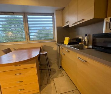 Location Appartement 1 pièce 28m² - Photo 4