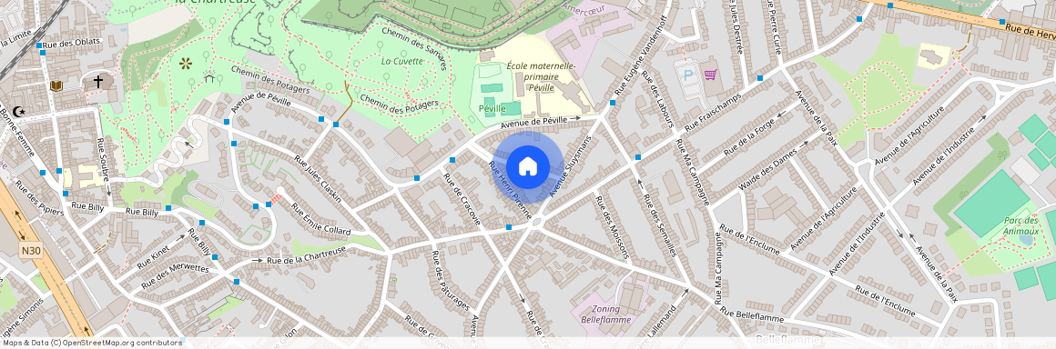 Rue César de Paepe 12, 4030 Liège