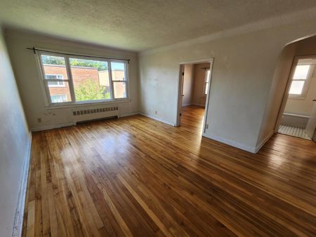 5 - 649 Rideau Street - Photo 3