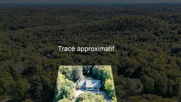 Maison de plain-pied à louer - Sainte-Anne-des-Lacs Maison de plain-pied à louer - Sainte-Anne-des-Lacs - Photo 1