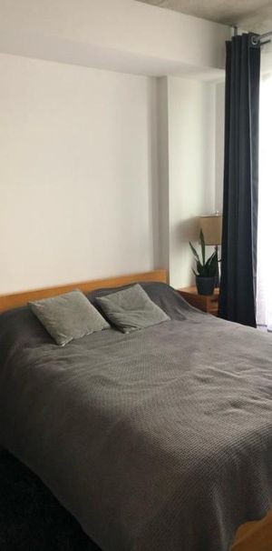 3 1/2 - Montréal (Ville-Marie (Centre-ville)) - 1 700 $/mois - Photo 1
