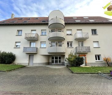 Location Appartement BLOTZHEIM 735 € CC - Photo 2