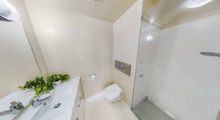 City centre outdoor living! - Photo 5