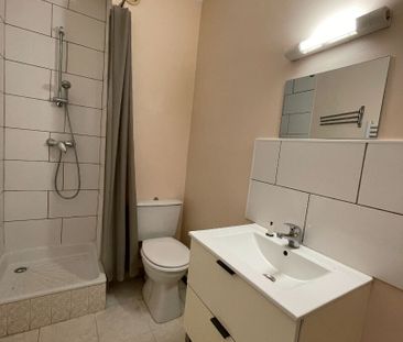 Location Appartement 1 pièce 24m² - Photo 3