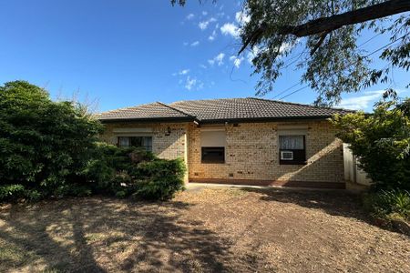 13 Myrtle Road, Dernancourt. - Photo 3