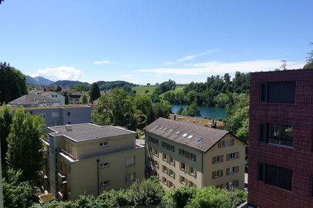 Ihr neues Zuhause mit Blick auf den Rotsee - Photo 2