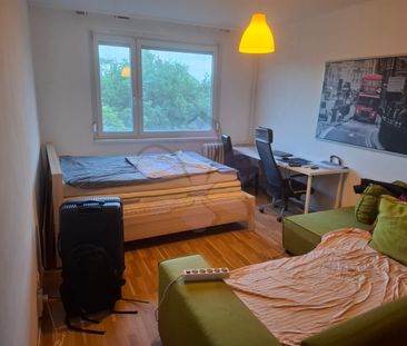 Large room is for rent close to Engineering Faculty - Photo 4