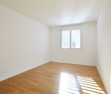 Luminoso 4.5 locali immerso nel verde - Photo 4