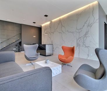 Appartement à louer - Montréal (Ville-Marie) (Centre) - Photo 3