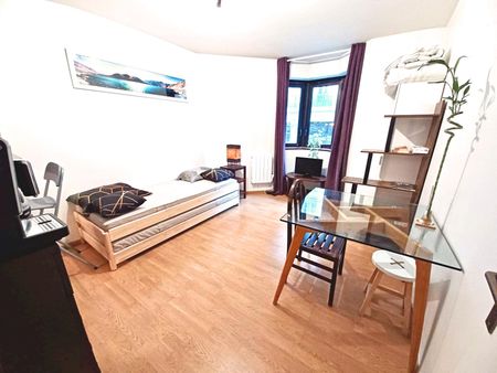 Location Appartement 1 pièce 21m² GRENOBLE 38000 - Photo 2