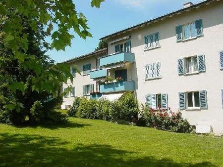 Befristet im Grünen in Zürich-Altstetten - Photo 4