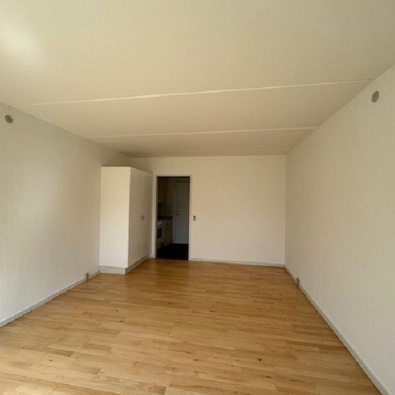 Skøn 1-værelses lejlighed centralt beliggende i Vissenbjerg - Foto 1