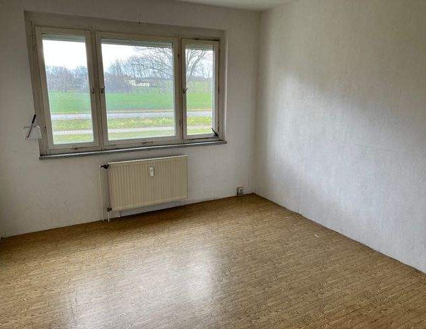 Helle 3-Raum-Wohnung im Erdgeschoss mit Einbauküche und Balkon - Photo 1