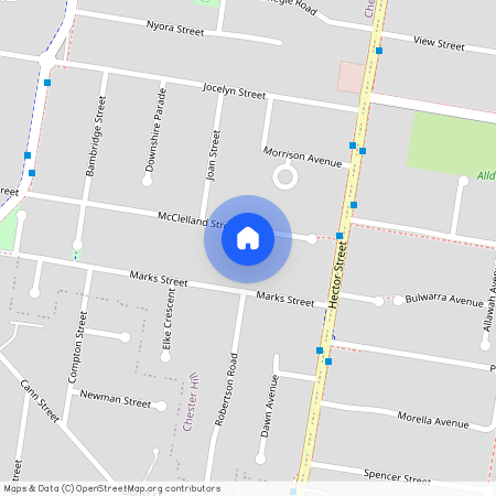 19A McClelland Street, NSW 2162, Chester Hill