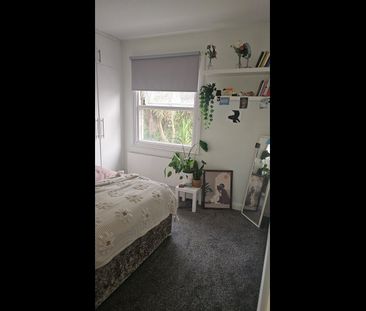 Room in a Shared House, Askew Road, W12 - Photo 3