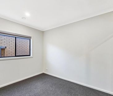 Modern, Spacious & Large Yard - Photo 2