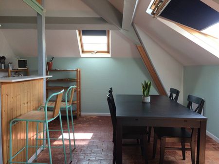 Appartement T1 Meublé (Vue sur l'Erdre) - Photo 5