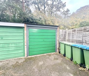 Pine Drive - Photo 5