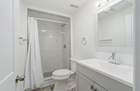 For Lease - 29 Juanita Drive Unit# BSMT, Hamilton, Ontario - Photo 4