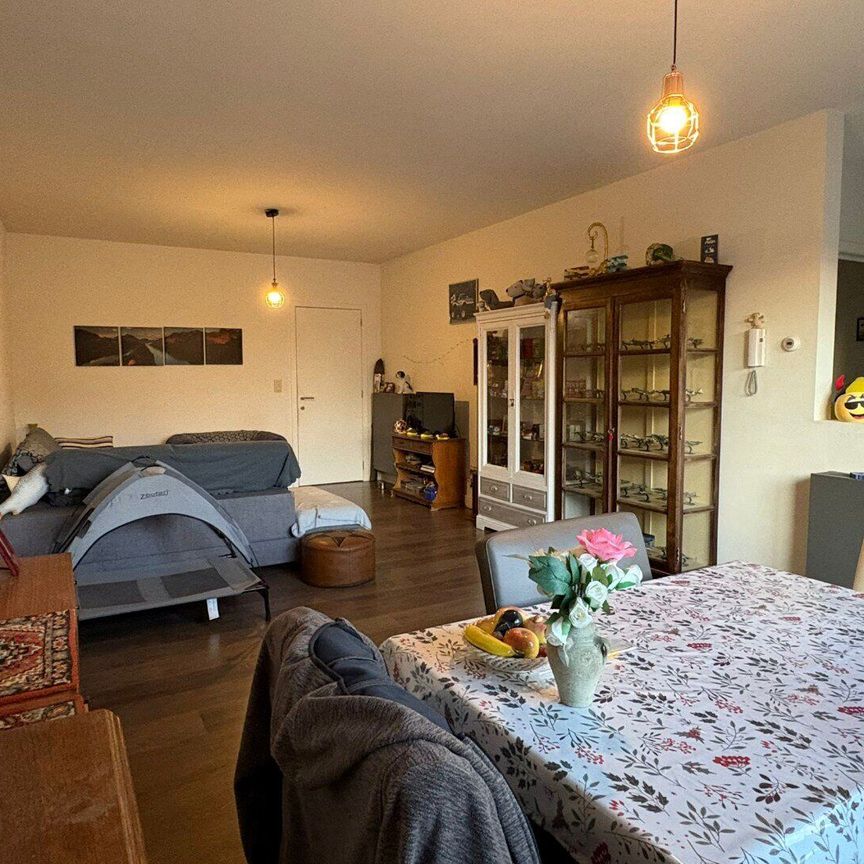 Ruim, energiezuinig appartement met 2 slpks, groot terras en autostaanplaats! - Photo 1