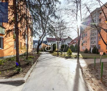 Kiadó jó állapotú lakás - Szeged - Fotó 5