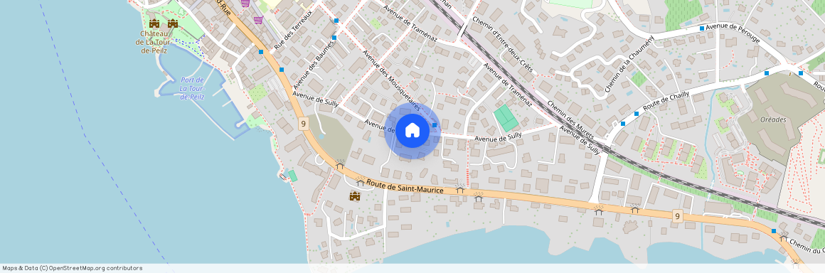 50, avenue de Sully, 1814 La Tour-de-Peilz