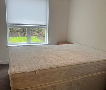 Room in a Shared Flat, Ground Floor Room, G13 - Photo 3