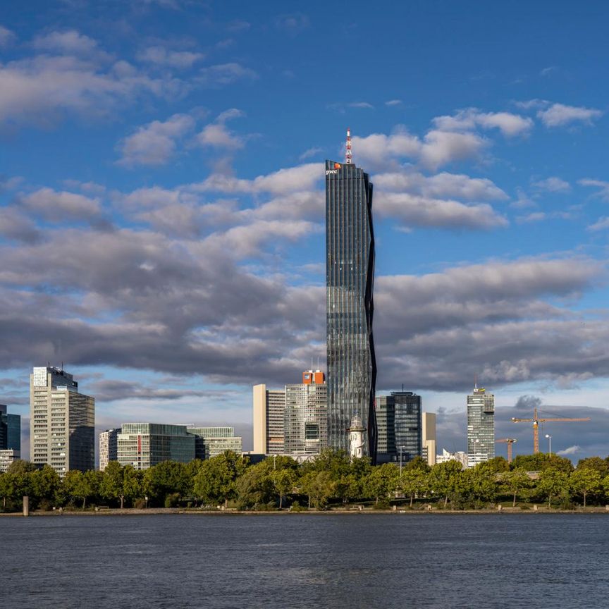 Ihr Rückzugsort über der Stadt – Wohnen mit Stil an der Donau! DC-FLATS! ERSTBEZUG! - Photo 1