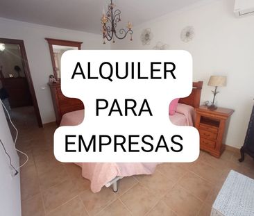 Alquiler de piso en Calle Cristóbal Ruiz Méndez - Photo 2