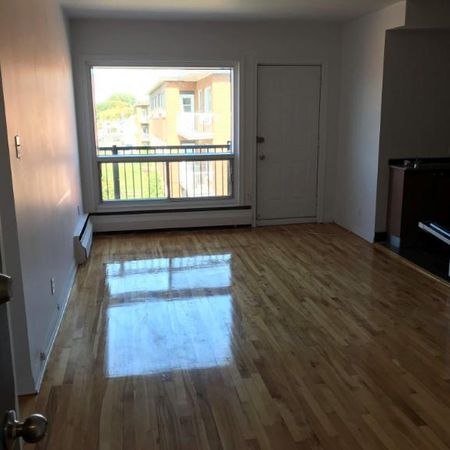 1 CH - 1 SDB - Montréal - $1,200 /mo - Photo 4