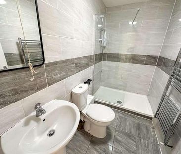 Albert Edward Road, L7 - Photo 4