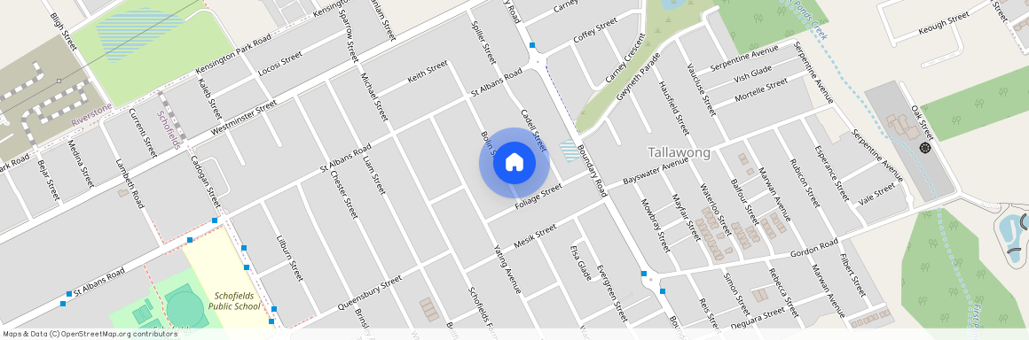 37 Bolin Street, Schofields