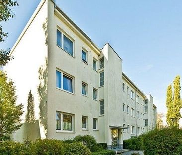 Renovierte, geräumige 3-Zi.-Wohnung in grüner Lage! - Foto 2