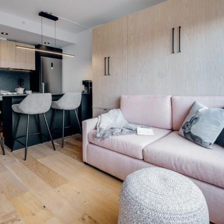 Loft entièrement meublé à louer Saint-Jean-Baptiste janvier 2026 - Photo 3