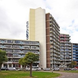Kronenburgersingel, 6511 Nijmegen, Nederland - Photo 4