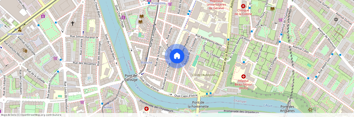 Rue de l'Aubépine, 1205 Genève