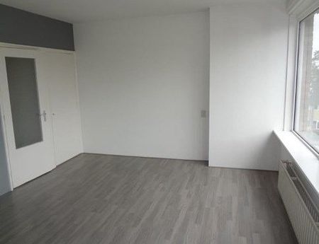 Apartment Leiden - Van Banchemhof - Photo 5