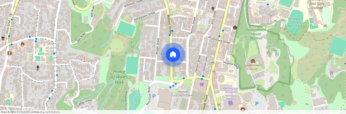 127 Wallace Street, Mount Cook, Wellington City