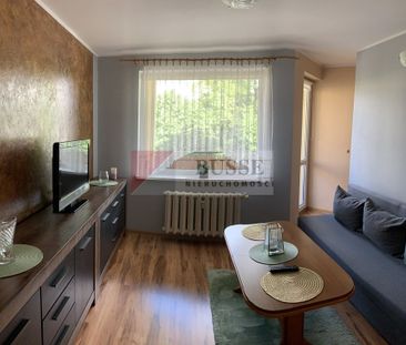 Do wynajęcia, Bukowe, śliczne dwa pokoje, 32,60m2 - Photo 3