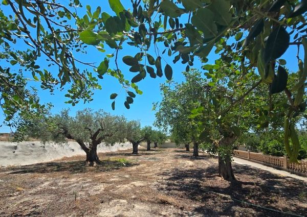 WIDE ESTATE FOR RENT IN TEULADA FOR LONG TERM