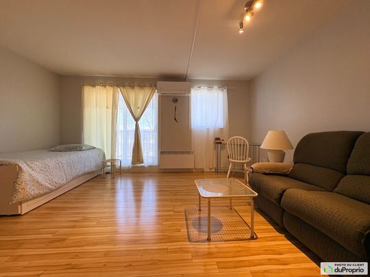 405-135, boulevard des Cèdres, Limoilou à louer - Photo 1