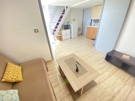 Location Appartement 1 pièce 30m² ST CYPRIEN 66750 - Photo 4