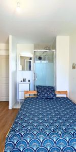Location Appartement 1 pièce 16m² TOULOUSE 31400 - Photo 3