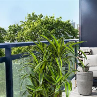 Upper Canada Drive - Photo 4