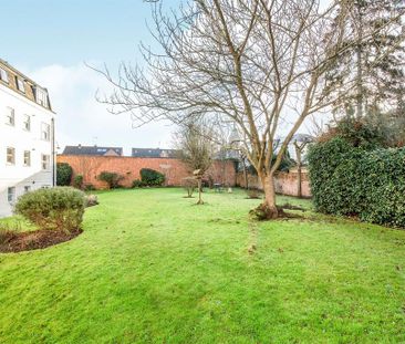 1 bedroom retirement property to rent - Photo 4