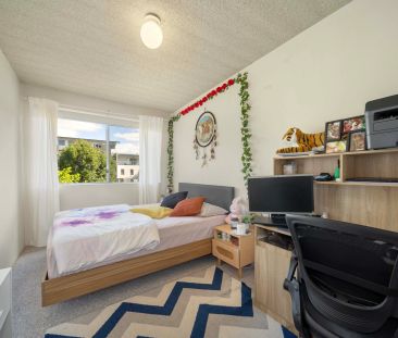 11/80 Collett Street, Queanbeyan NSW 2620 - House For Rent | Domain - Photo 4