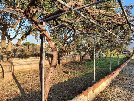 Μονοκατοικία για ενοικίαση Κέντρο (Κορωπί) - Φωτογραφία 4