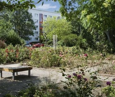 Harzgeroder Straße 6 - Harzer-Karree - Foto 4