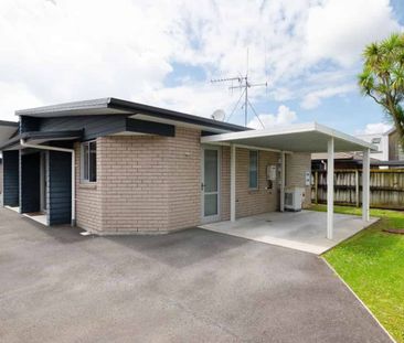 The Lyon King - Photo 4